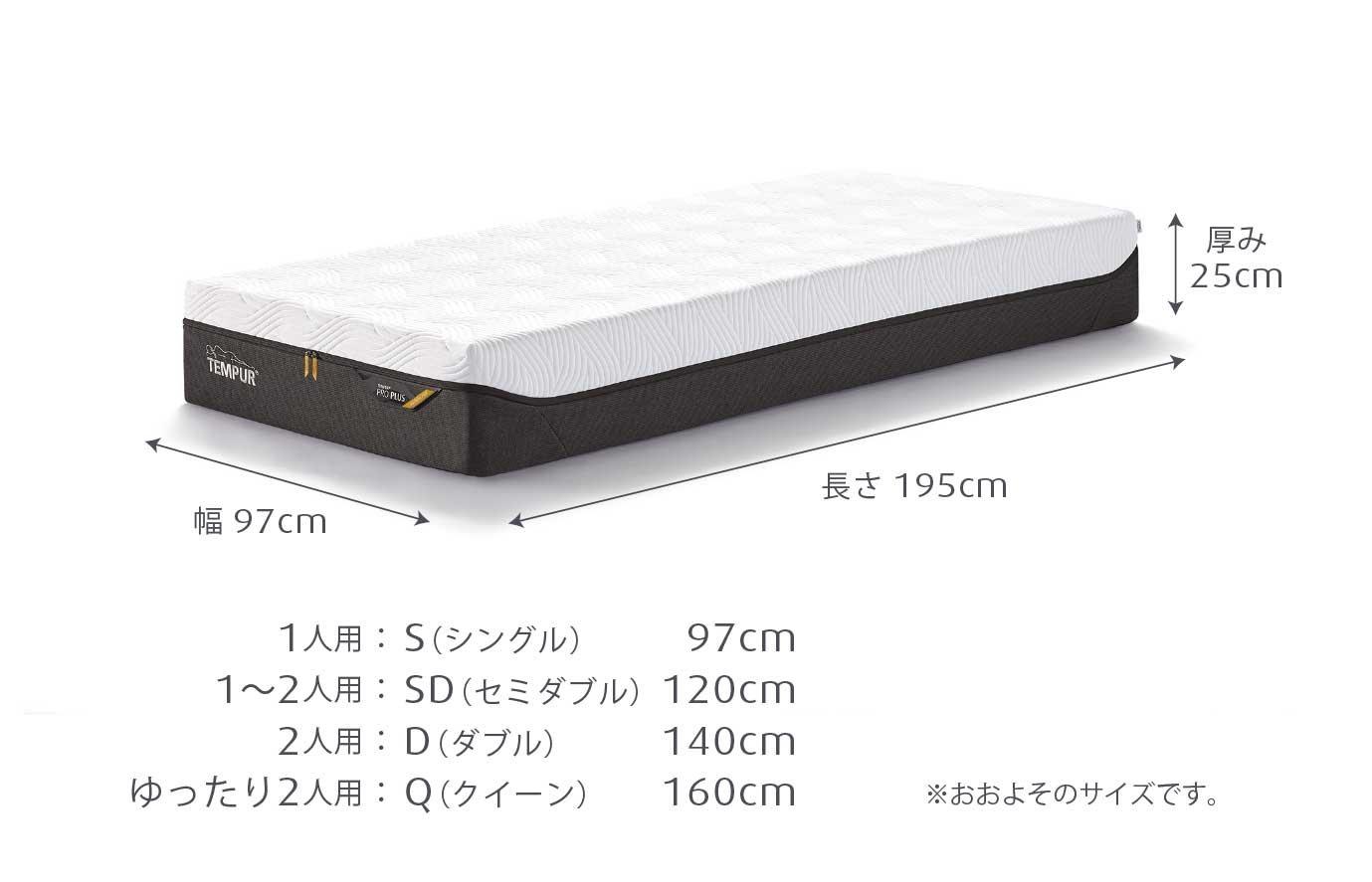 プロ プラス 厚み25cm クイーン ややかため マットレス