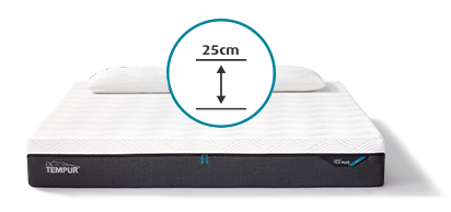 TEMPUR PRO PLUS
