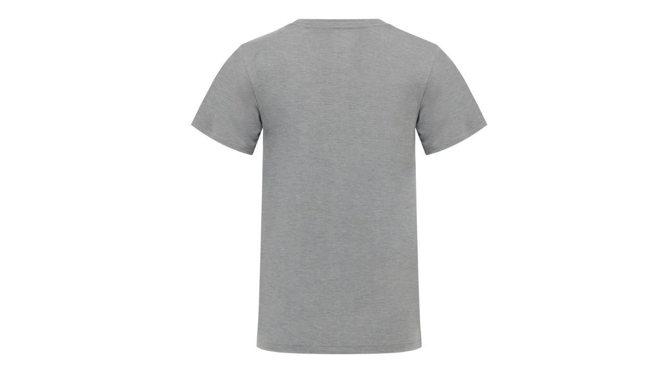 Women's Short Sleeve Jersey T-Shirt  In Grey