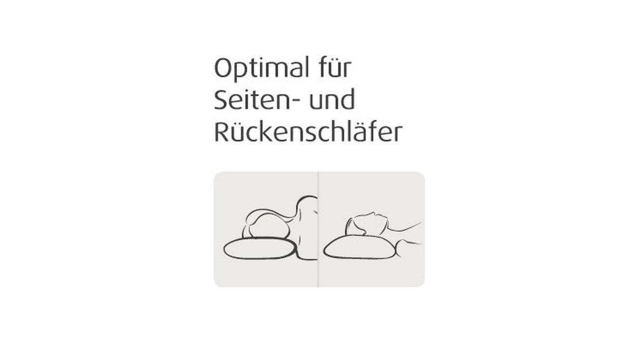 TEMPUR® Millennium Schlafkissen (Large)