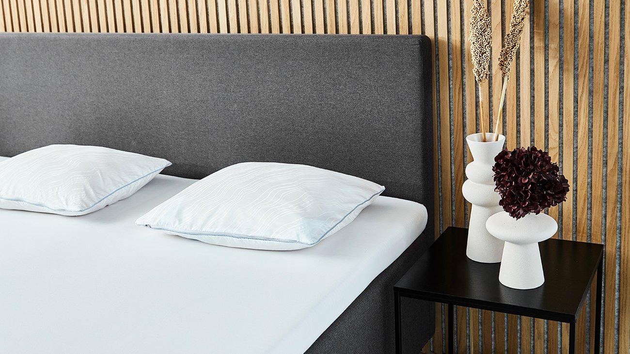 TEMPUR® Traditional EasyClean™ Pude