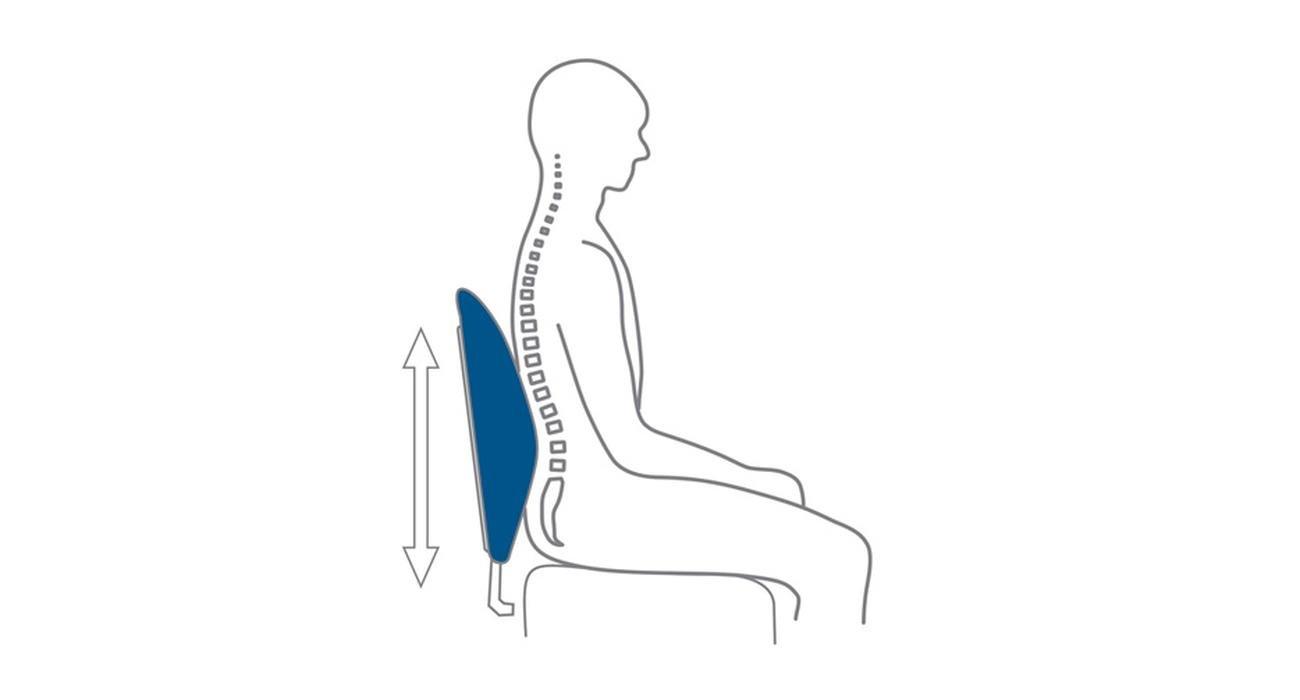 Support dorsal de CozySense® - Coussin dorsal pour le bas du dos