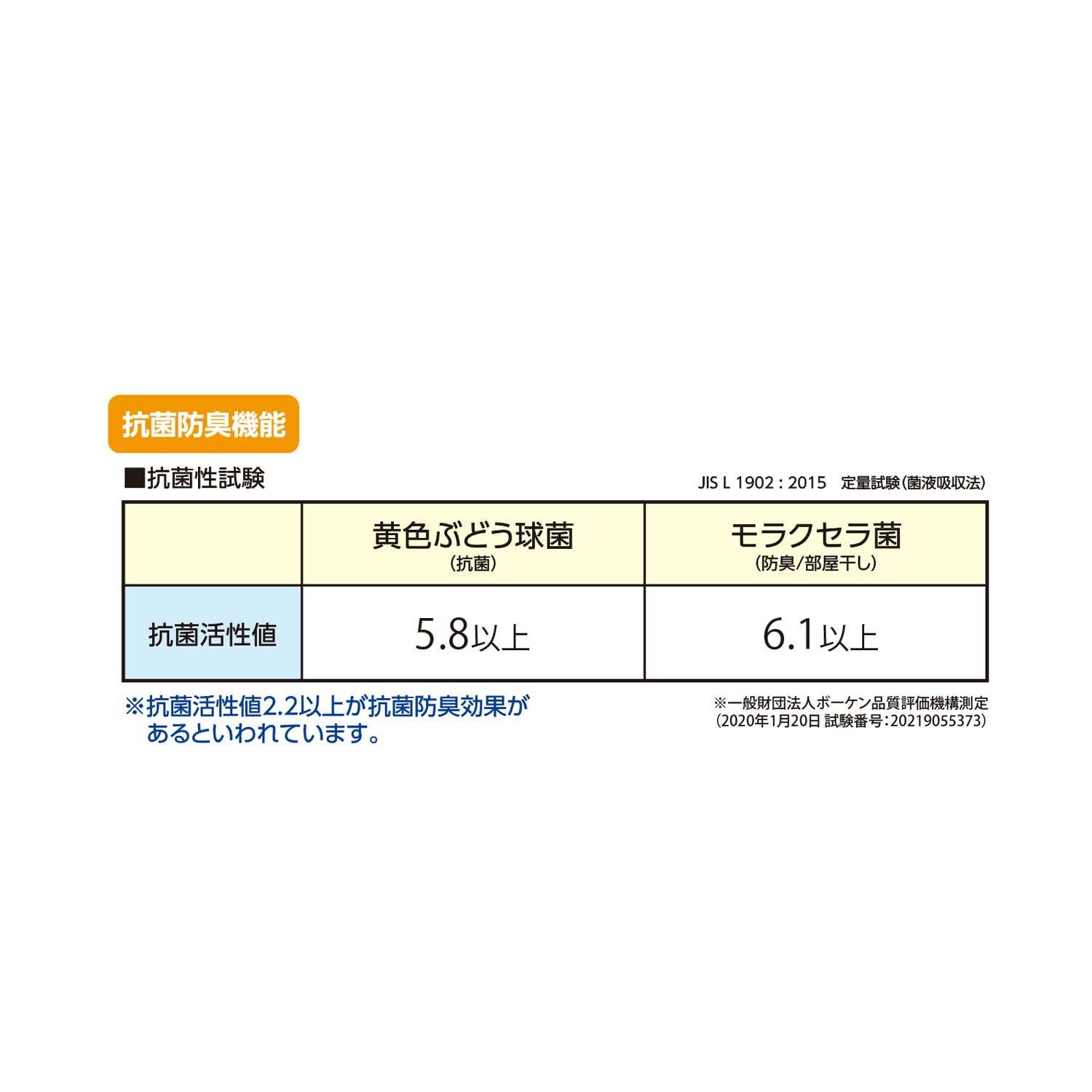 ネオ アイスブリーズTM 抗菌プラス ピローパッド
