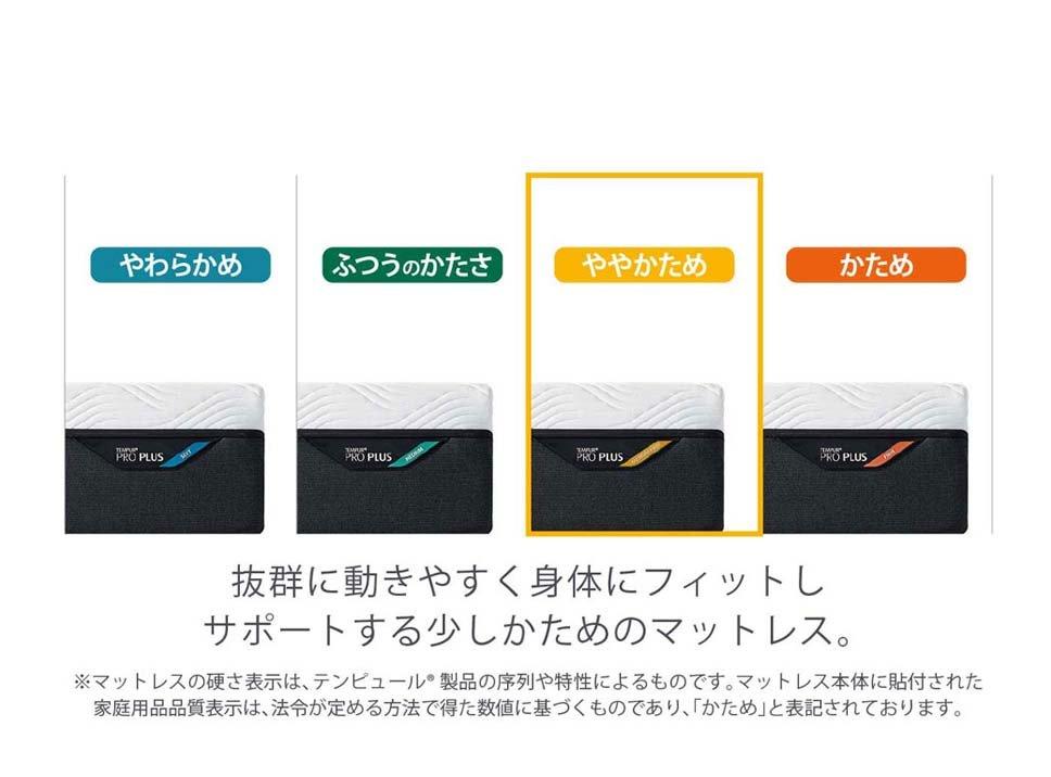 プロ プラス(マットレス:ややかため)とゼロジー(R) コンフォート(電動ベッド)のセット ダブル ※プレゼント付き[6/22まで]