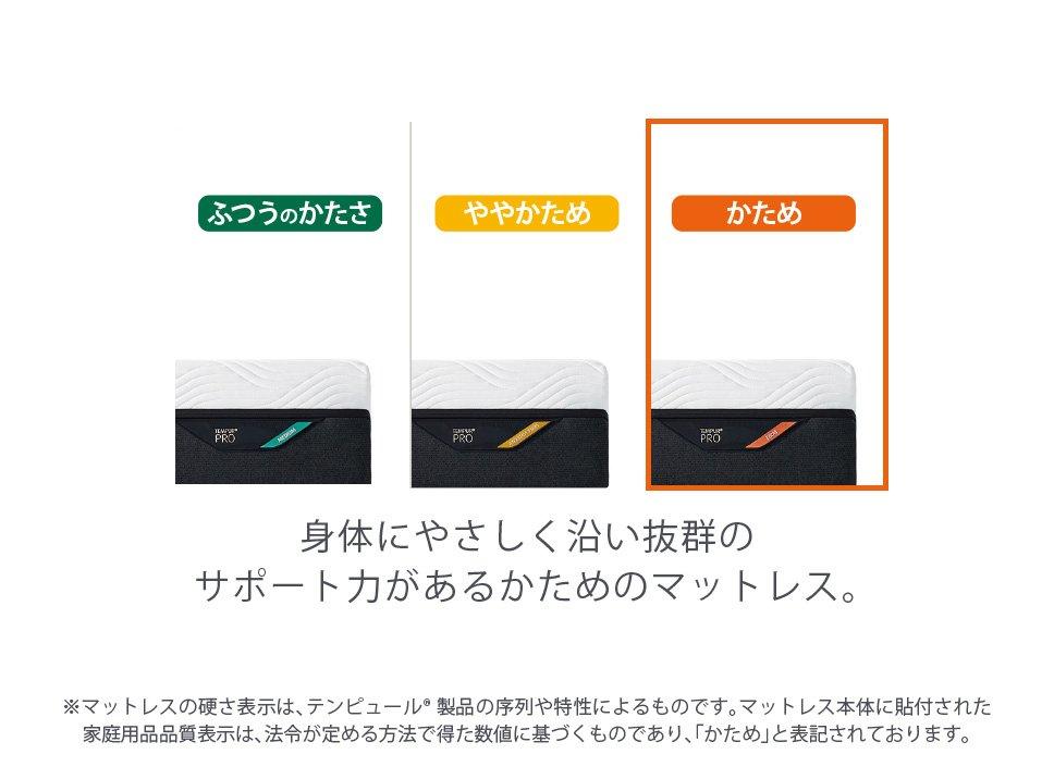 プロ（マットレス ふつうのかたさ）とエルゴ ワン（電動ベッド）のセット セミダブル