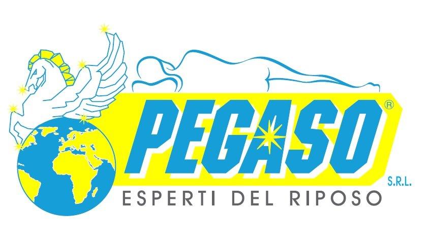 Pegaso srl